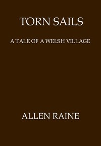 Cover of Torn Sails: A Tale of a Welsh Village