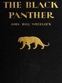 Cover of The Black Panther: A book of poems
