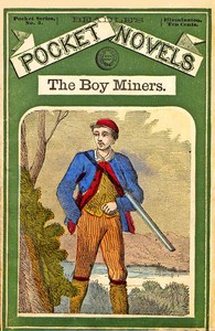 Cover of The Boy Miners; Or, The Enchanted Island, A Tale of the Yellowstone Country