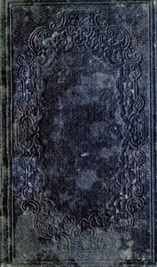 Cover of The Salem Belle: A Tale of 1692