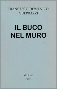 Cover of Il buco nel muro