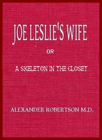 Cover of Joe Leslie's Wife; or, a Skeleton in the Closet