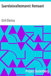 Saarelaisvallesmanni: Romaani