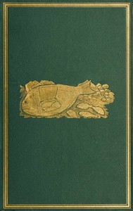 Cover of The Naturalist in Vancouver Island and British Columbia, Volume 1 (of 2)