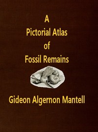 Cover of A Pictorial Atlas of Fossil Remains, consisting of coloured illustrations selected from Parkinson's "Organic remains of a former world," and Artis's "Antediluvian phytology."
