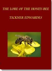 Cover of The Lore of the Honey-Bee
