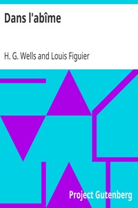 Cover of Dans l'abîme