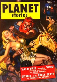 Cover of Valkyrie from the Void