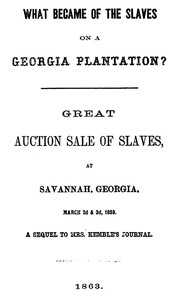 Cover of What Became of the Slaves on a Georgia Plantation?