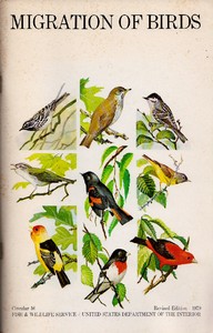 Cover of Migration of Birds (1979)