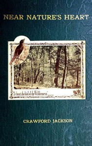 Cover of Near Nature's Heart; A Volume of Verse