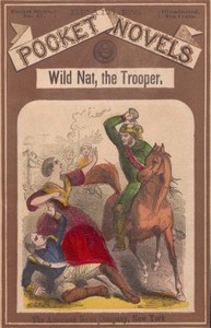 Wild Nat, the Trooper; or, The Cedar Swamp Brigade