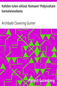 Kahden tulen välissä: Romaani Yhdysvaltain kansalaissodasta