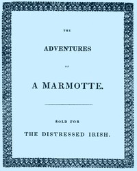 Cover of The Adventures of a Marmotte