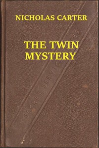 Cover of The Twin Mystery; Or, A Dashing Rescue
