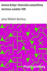 Cover of Antonio Bröijer: Historiallis-romantillinen kertomus vuodelta 1599