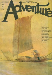 Cover of Flames of the Storm
