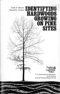 Cover of Identifying Hardwoods Growing on Pine Sites