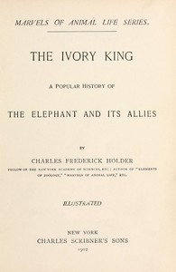 Cover of The ivory king