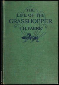 The Life of the Grasshopper