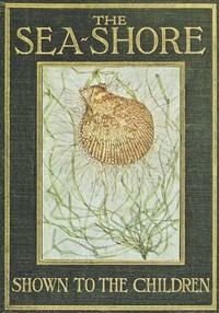 Cover of The Sea-Shore, Shown to the Children