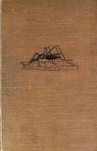 Cover of More Minor Horrors