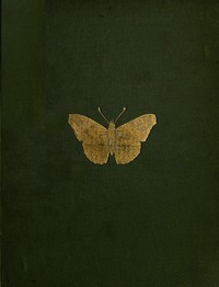 Cover of The Butterflies and Moths of Teneriffe