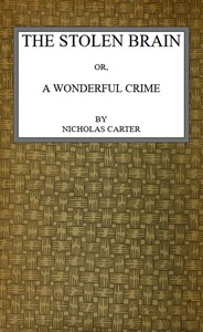 Cover of The Stolen Brain; Or, A Wonderful Crime