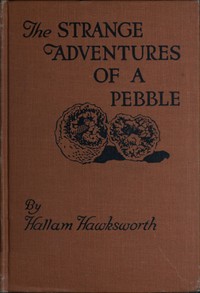 Cover of The Strange Adventures of a Pebble