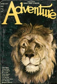 Cover of Wise Men and a Mule