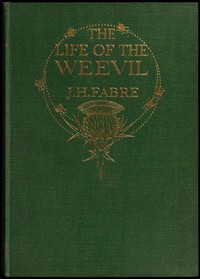 The Life of the Weevil