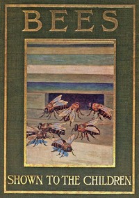 Cover of Bees, Shown to the Children