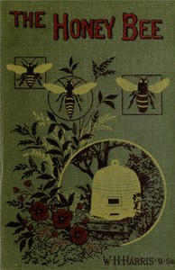 Cover of The honey-bee: its nature, homes and products