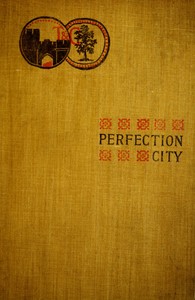 Cover of Perfection City