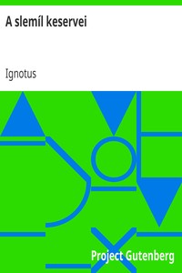Cover of A slemíl keservei