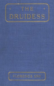 Cover of The Druidess: A Story for Boys and Others
