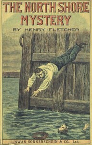 Cover of The North Shore Mystery