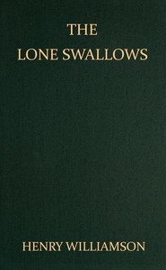 Cover of The lone swallows