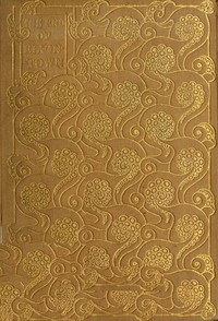 Cover of The End of Elfintown