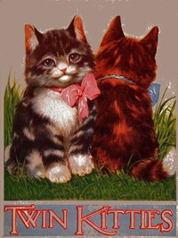 Cover of My twin kitties