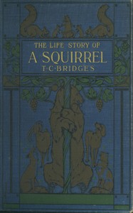 Cover of The life story of a squirrel