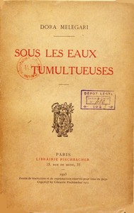 Cover of Sous les eaux tumultueuses