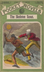 Cover of The skeleton scout; or, The border block
