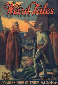 Cover of The festival