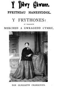 Cover of Y ddwy chwaer: Ffeithiau hanesyddol