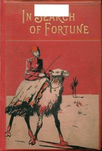 Cover of In search of fortune: A tale of the old land and the new