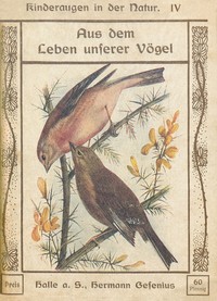 Aus dem Leben unserer Vögel