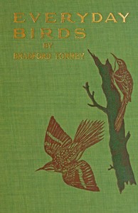Cover of Everyday birds: Elementary studies
