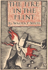 Cover of The fire in the flint