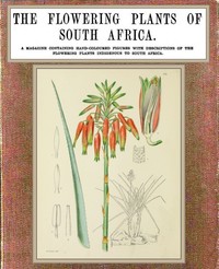 Cover of The flowering plants of South Africa; vol. 4
